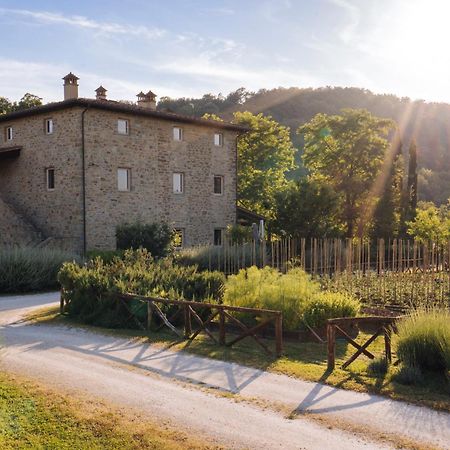 Cuprena Villa Arezzo Kültér fotó