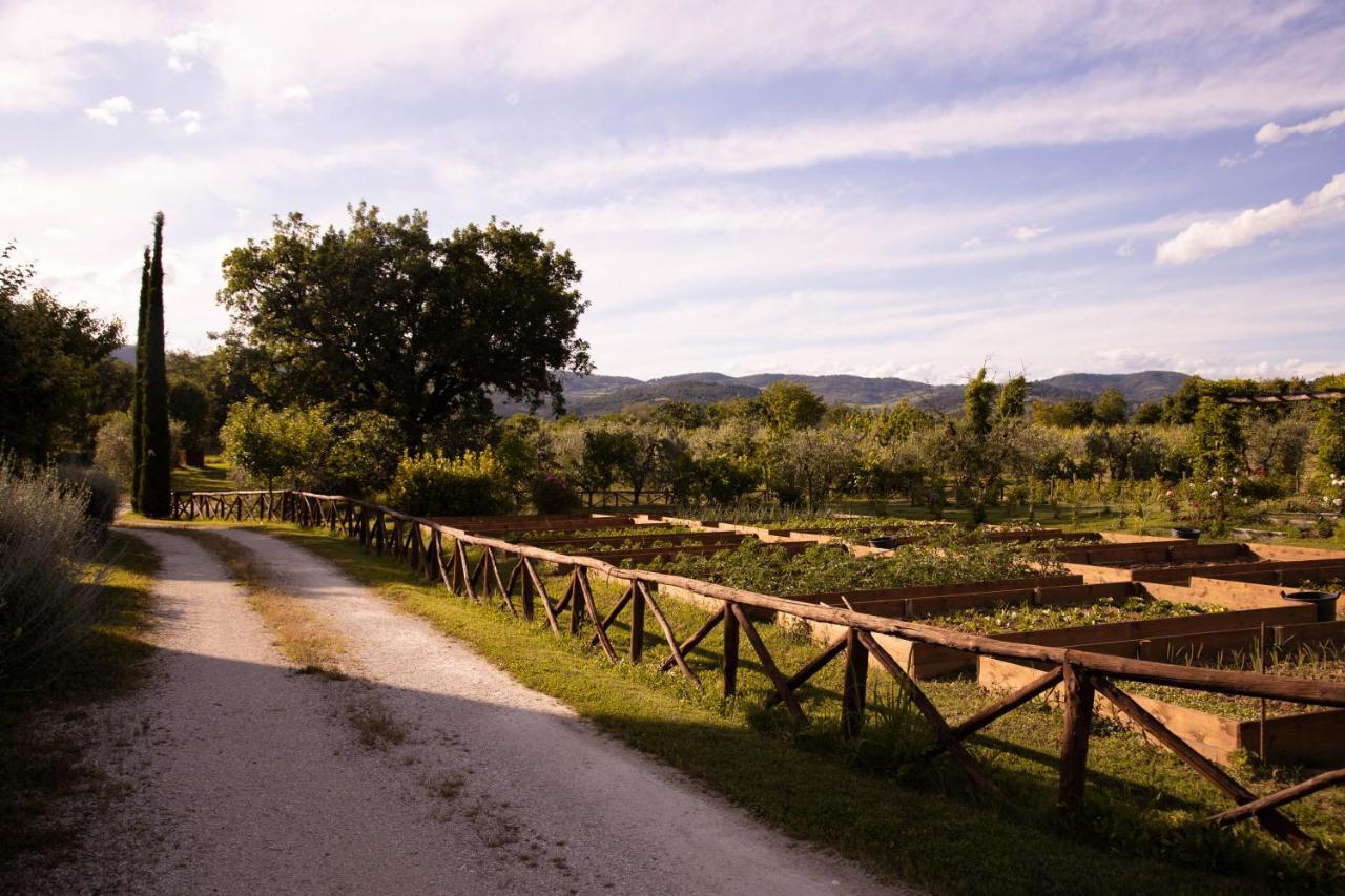 Cuprena Villa Arezzo Kültér fotó