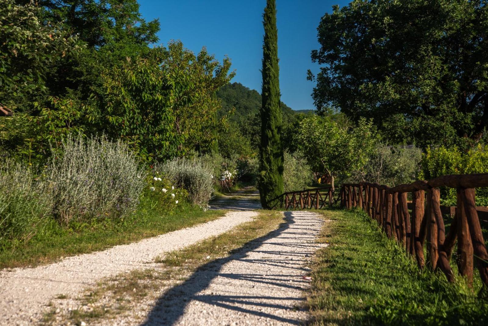 Cuprena Villa Arezzo Kültér fotó