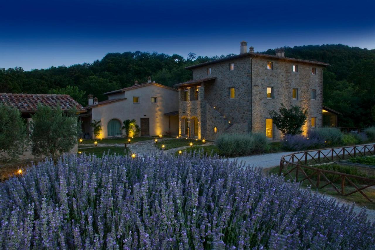 Cuprena Villa Arezzo Kültér fotó